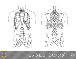 研修や授業に